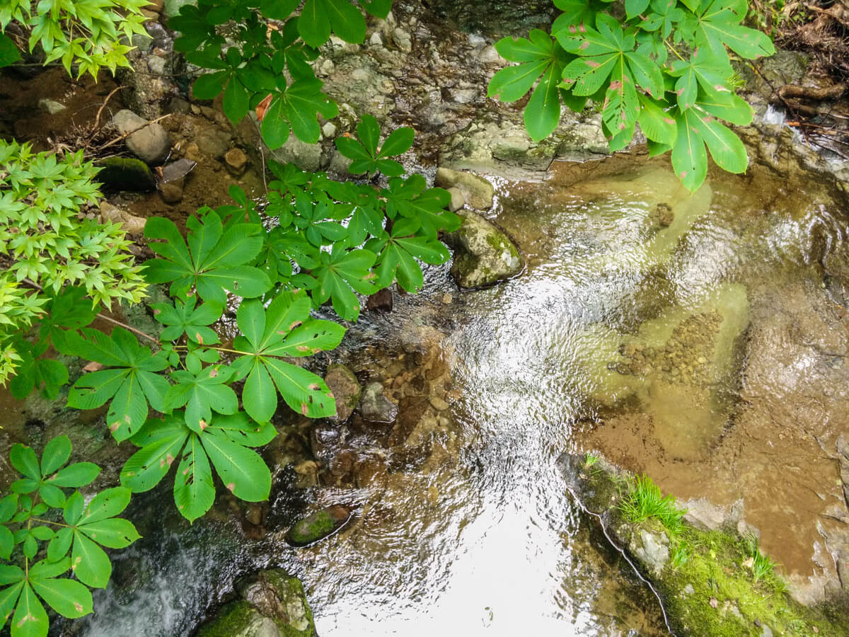 渓流を橋の上から。