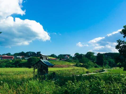 社と青空