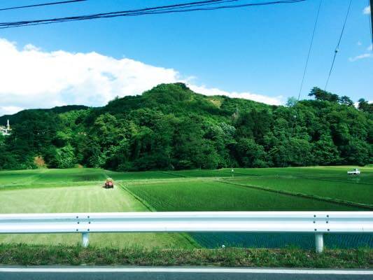 のどかな田園風景