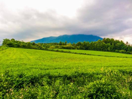 草原と岩手山