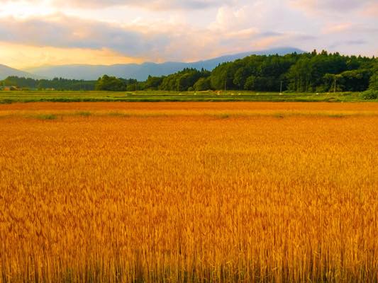 豊穣の地、雫石。