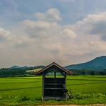 県道234号線。秘境という名がふさわしい絶品サイクリングコースでした