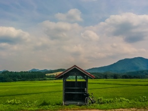 雫石の田んぼにて