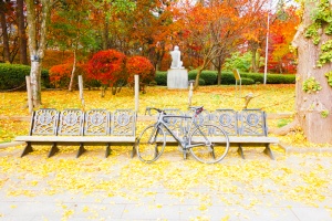 bruno_minivelo_road_9